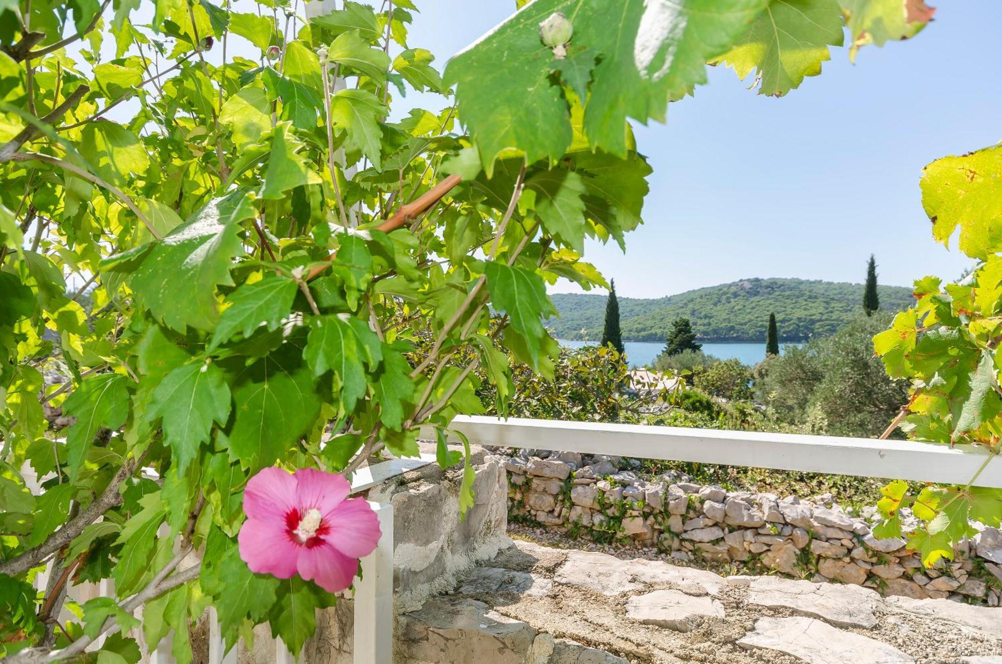 Apartments Danica Tisno Εξωτερικό φωτογραφία